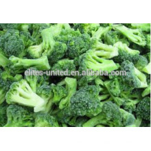 IQF frozen fresh broccoli vegetables